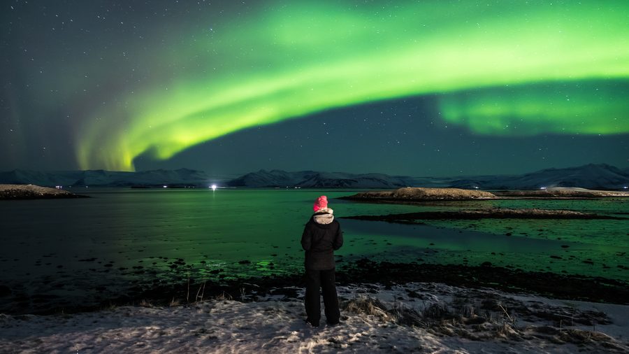 Aurore boreali sopra un paesaggio innevato presso Höfn in Islanda.