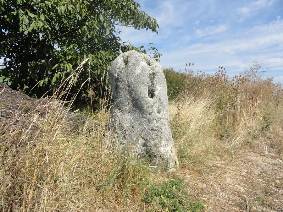File:Avize Menhir de Haute-Borne 03.JPG