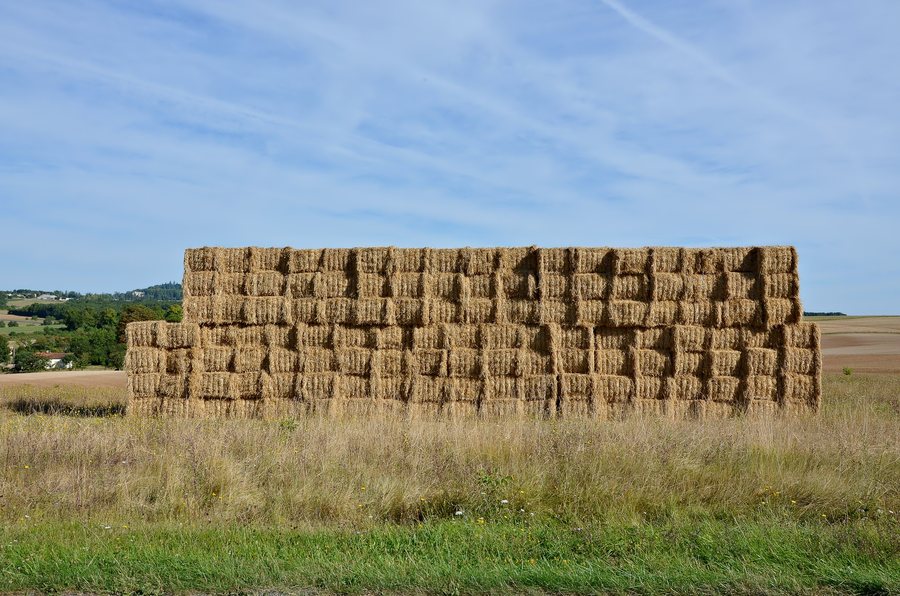 File:Ronsenac 16 Mur de balles 2 2013.jpg