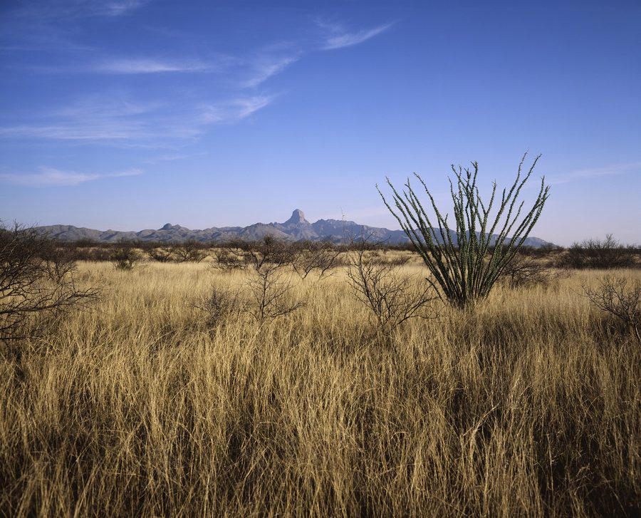 Paesaggio nel Buenos Aires National Wildlife Refuge nel sud dell'Arizona