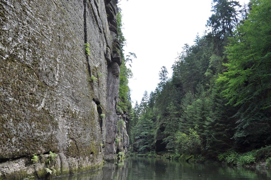 Kamenice-Fluss im Edmund Canyon in Tschechien