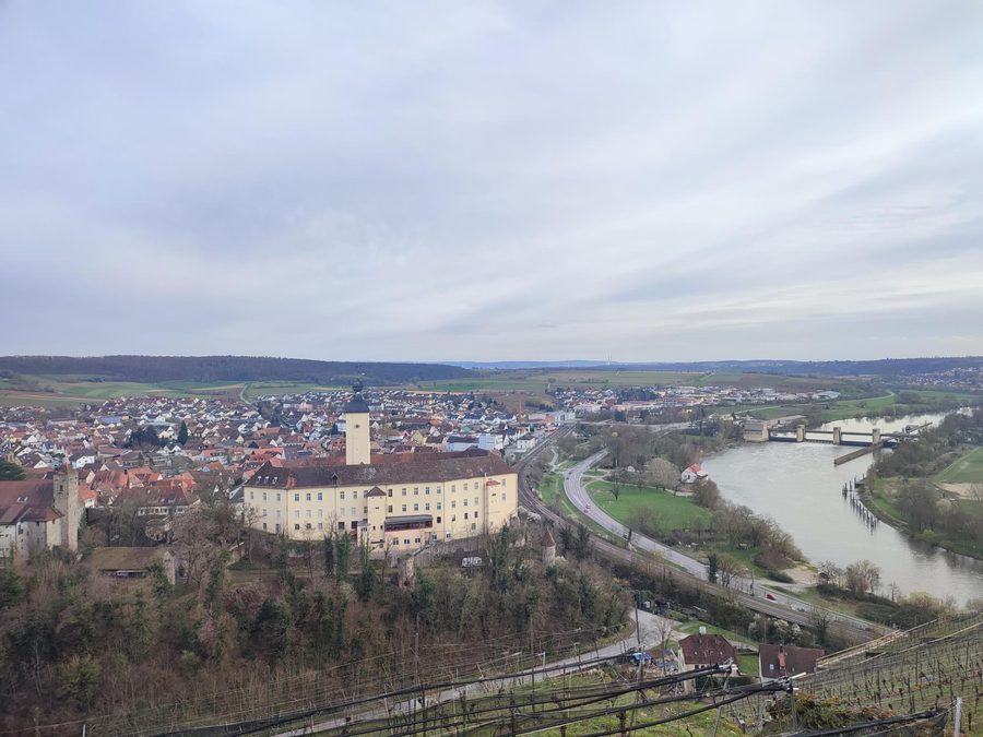 Blick vom Michaelsberg auf Schloss Horneck, Gundelsheim und den Neckar