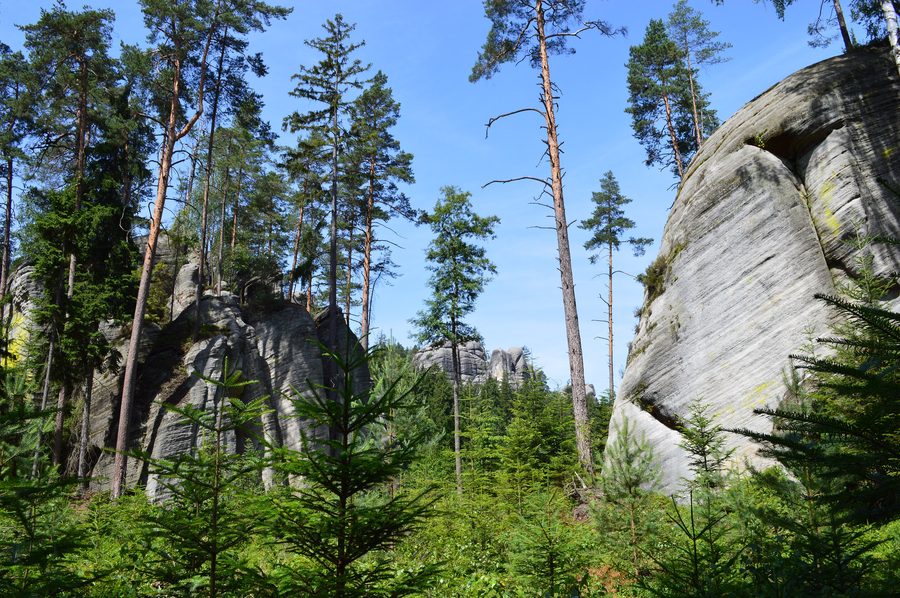 Sandsteinfelsen in der Adersbach-Weckelsdorfer Felsenstadt in Tschechien