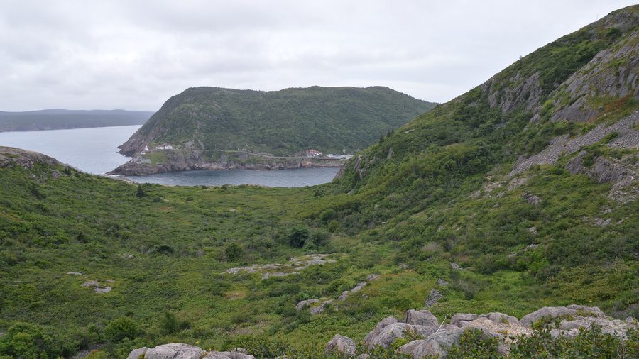 View over St. John's harbor from Signal Hill