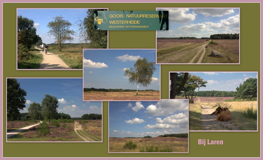 File:De Westerheide bij Laren.jpg