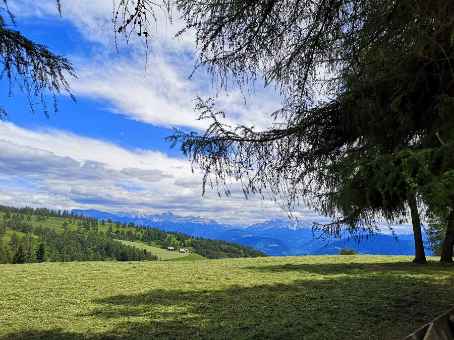The Salten plateau below Jenesien with mountain scenery