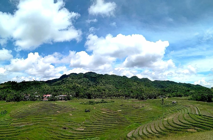 Terrazze di riso di Cadapdapan a Candijay a Bohol