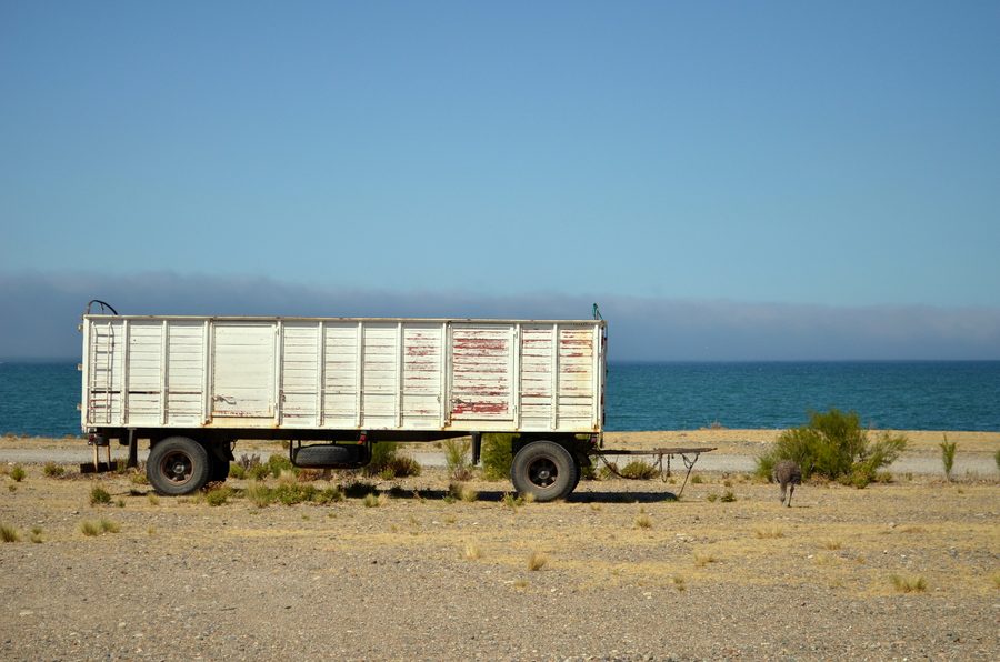 Küstenlandschaft von Bahía Bustamante in Chubut, Patagonien