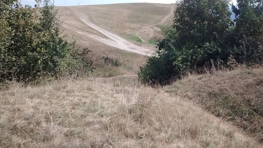 Blick über die Osterwiese am Hesselberg zum Röckinger Berg