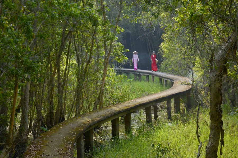 Weg durch den Feuchtwald des Tân-Lập-Gebiets in Mộc Hóa, Long An