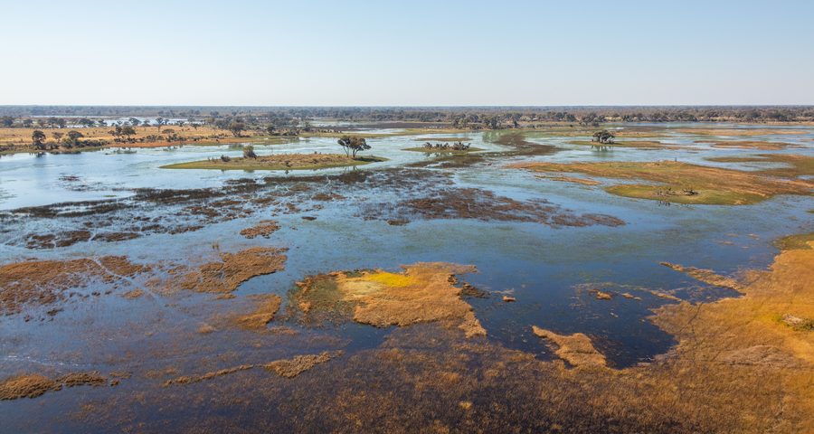 Aerial view of the Okavango Delta’s winding waterways and green floodplains.