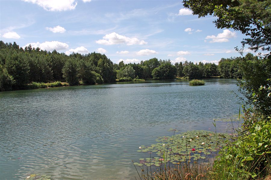 Kiessee bei Vierhöfen am Ostrand der Lüneburger Heide