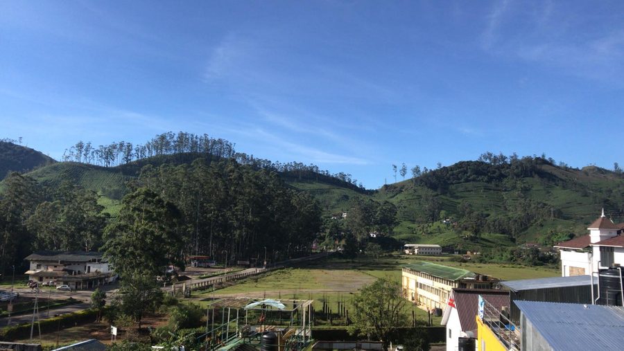 Hügellandschaft mit grünen Teeplantagen in Coonoor im Nilgiris-Distrikt von Tamil Nadu