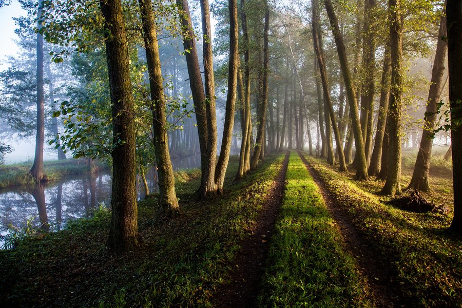 Escursioni in bicicletta sulla Gurkenradweg nello Spreewald