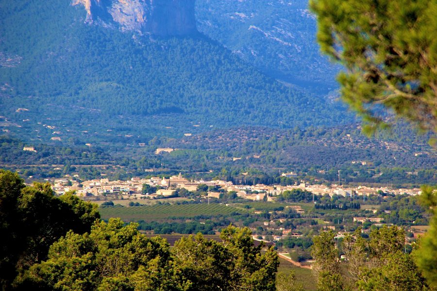 Consell vist desde el Puig de Son Seguí