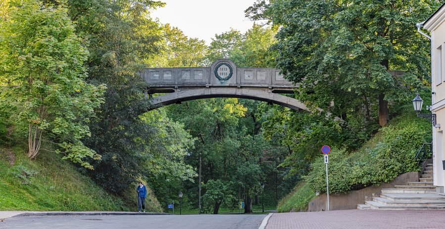 Ponte del Diavolo nel parco Toomemägi a Tartu