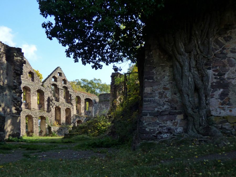 Rovine del castello di Świny vicino a Bolków