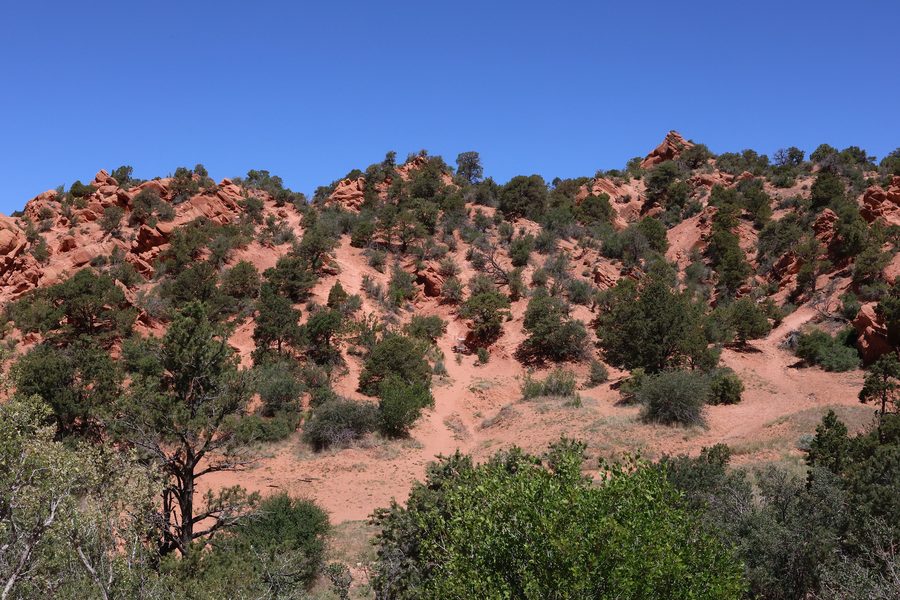 Rugged red rock formations with green trees in Utah
