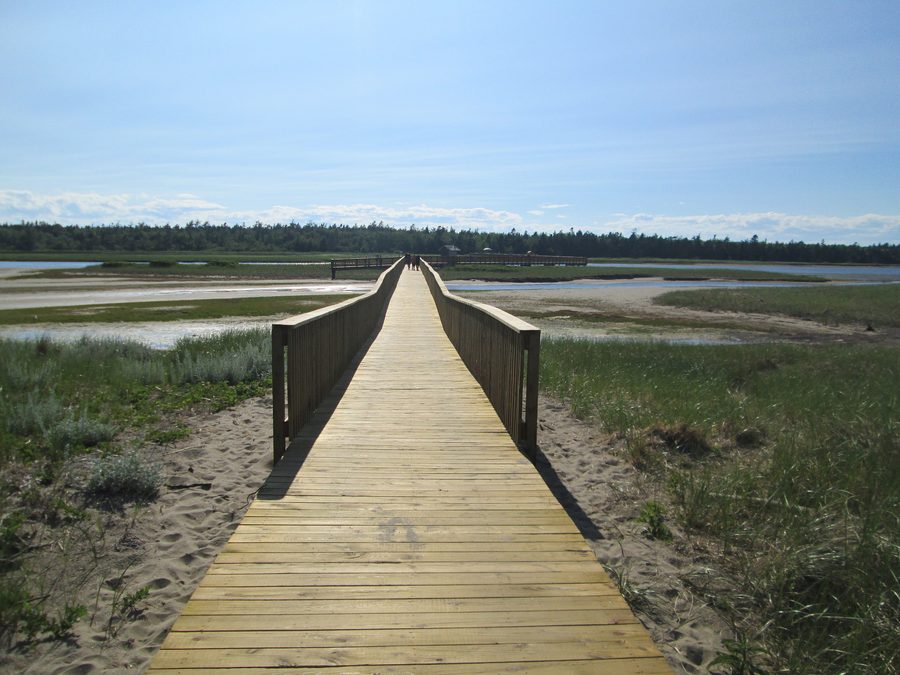 Passerella nel Kouchibouguac National Park nel New Brunswick