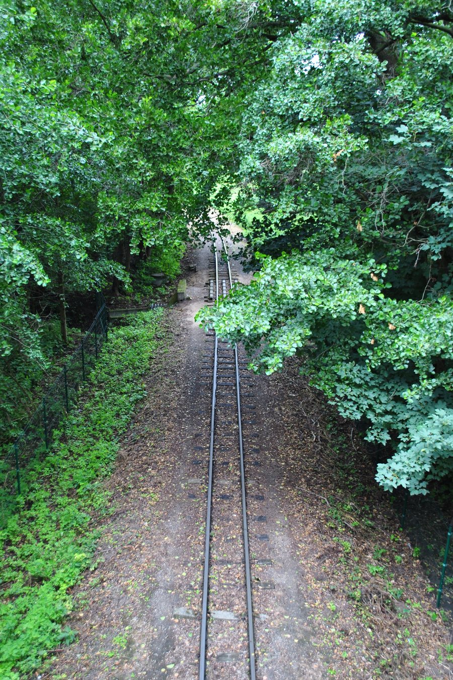 Biskupin: fragment of the Żnin Narrow Gauge Railway