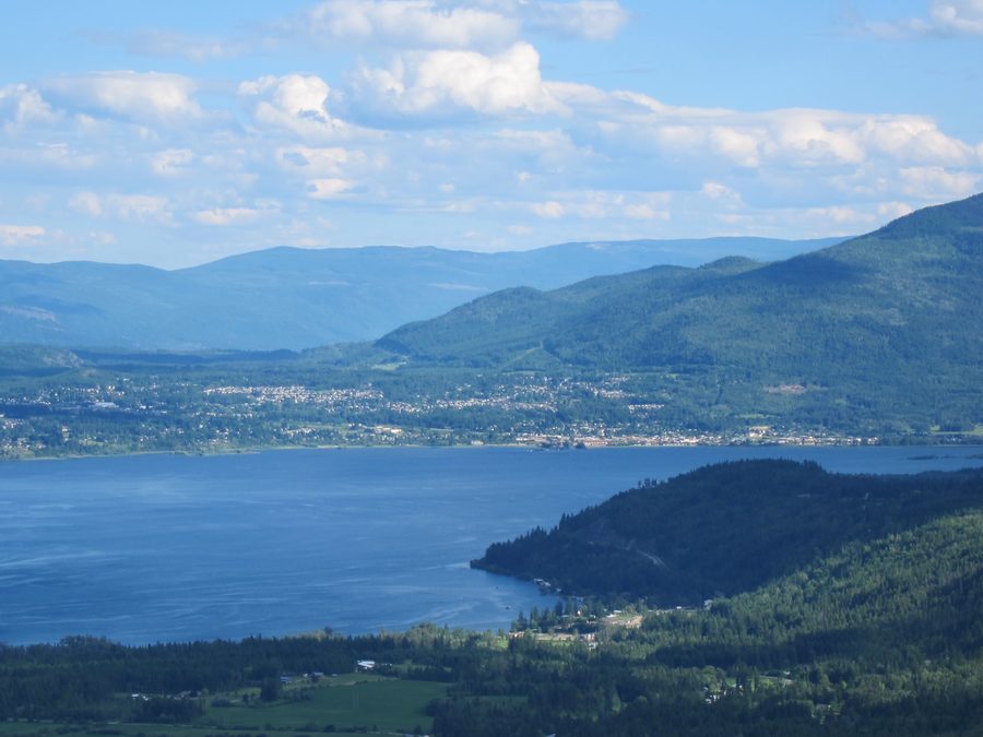 Blick von den Tappen Bluffs auf Salmon Arm und den Shuswap Lake in British Columbia