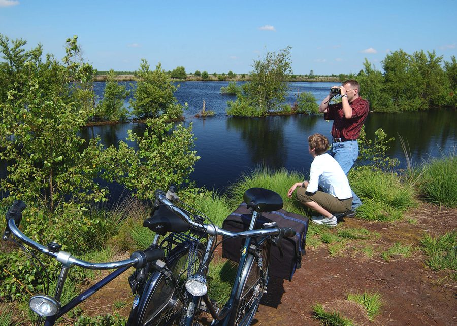 Blick über das Bourtanger Moor-Bargerveen
