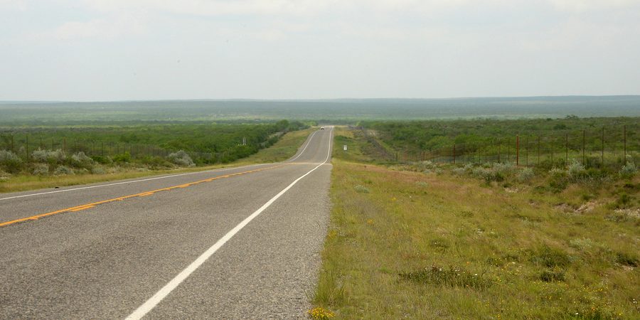 South Texas thornscrub beside State Highway 16 in Duval County, Texas