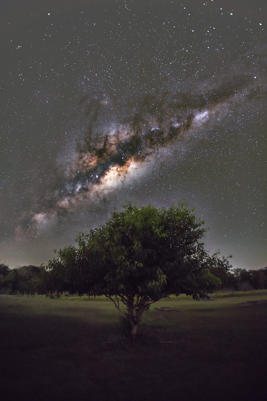 Paisagem do Parque Estadual do Aguapeí, localizado também em São João do Pau D'Alho, São Paulo