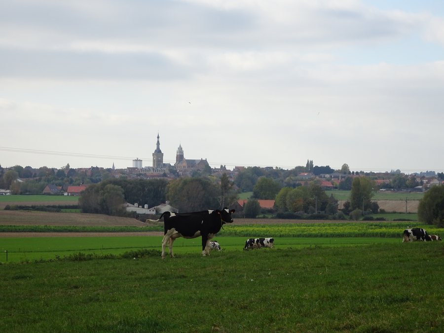 File:Bailleul sur le circuit du Ravensberg (1).jpg