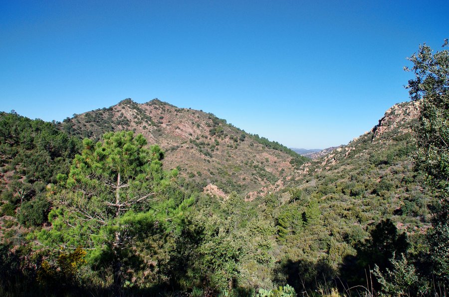 File:201902-K5 18387a F - Pista del Collado de la Mina a Almedíjar, vista al Monte Pascual.jpg
