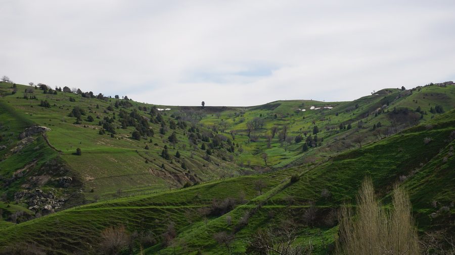 Landschaft in der Provinz Samarkand, Usbekistan