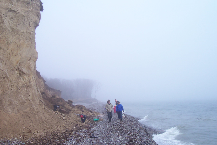 Erosione costiera lungo la costa di Langeland