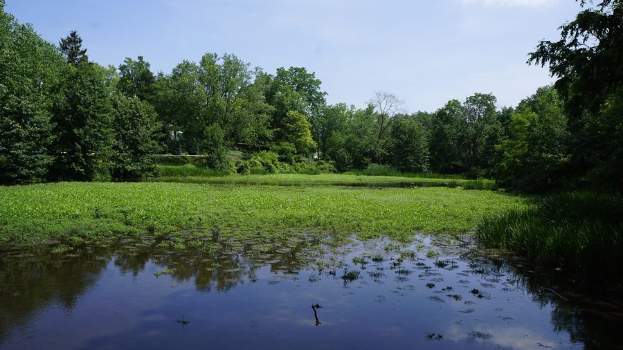 Centreville Conservation Area in Ontario