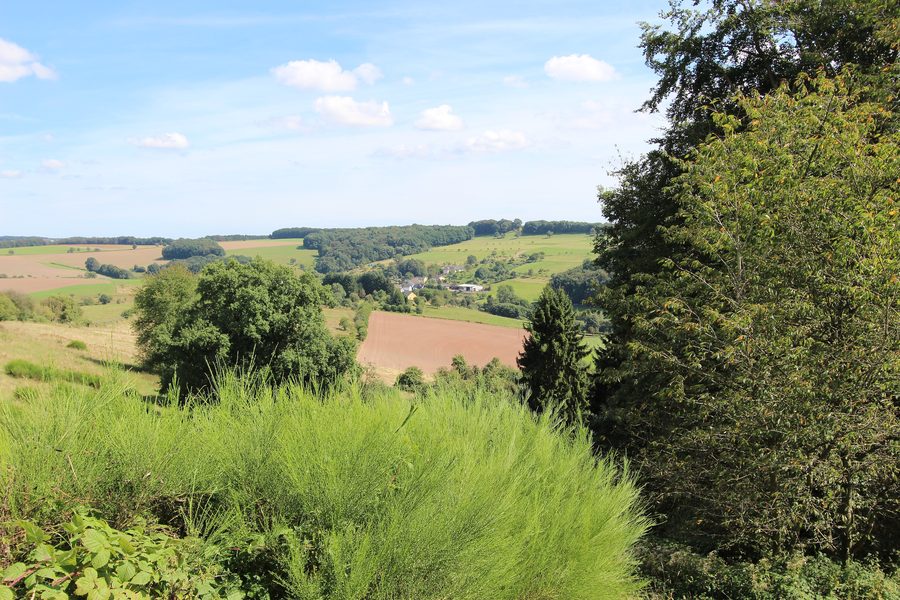 Blick auf Hütterscheid in der Eifel von Westen
