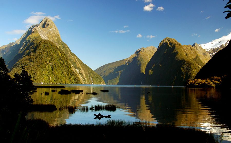 Milford Sound con acque scure del fiordo e pendii montuosi boscati nel Fiordland