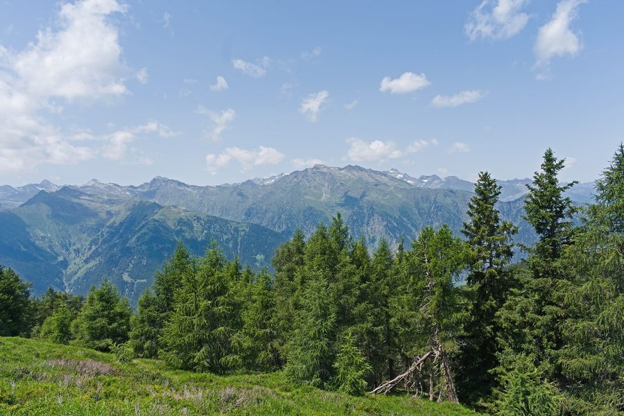 Vista delle Alpi Venoste e del Gruppo di Tessa da un sentiero vicino a Scena