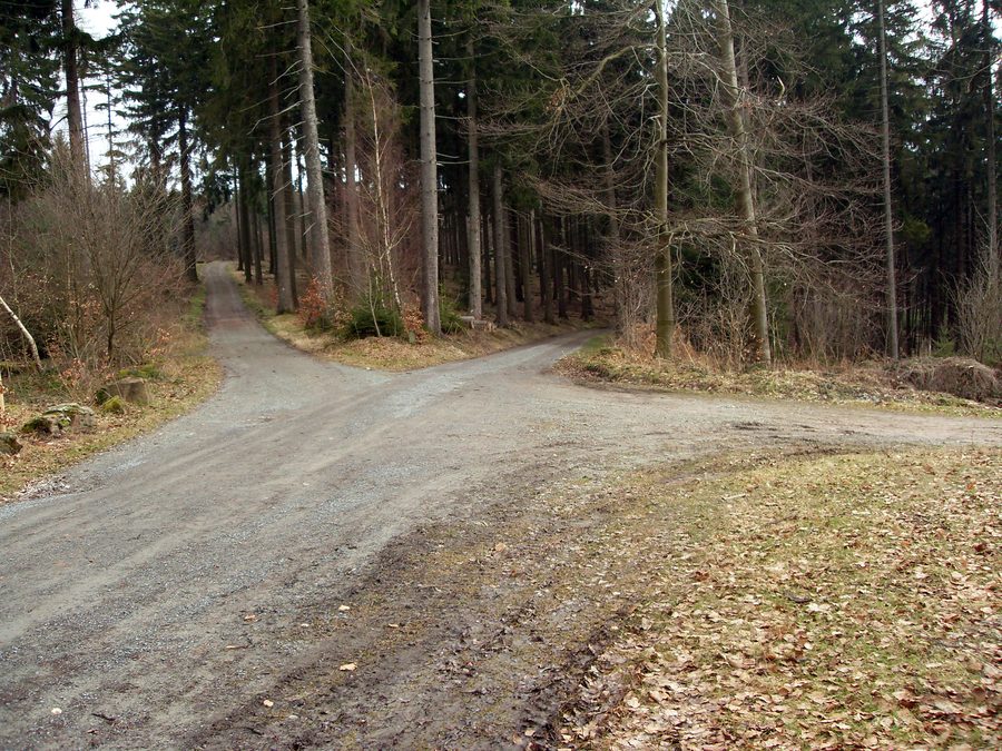 Waldweg bei Wilhelmsfeld mit Blick auf den Teltschikturm