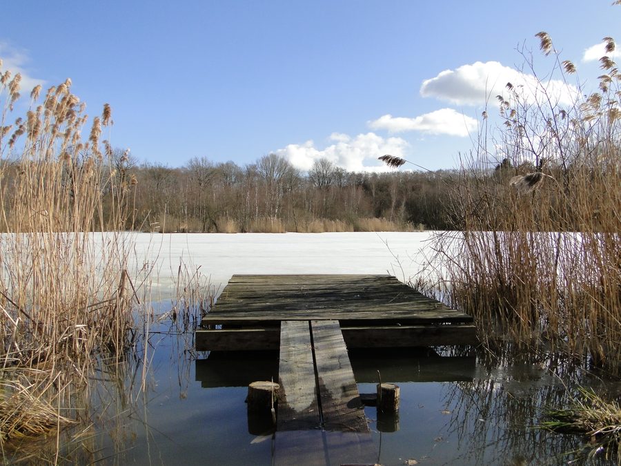 Grande lago a Selmsdorf nel circondario del Nordwestmecklenburg