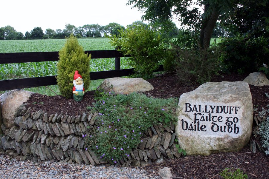 Paesaggio presso Ballyduff nella Contea di Wexford