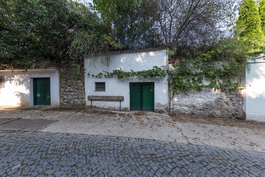 Stradina delle cantine con case di pressatura e cantine vinicole sulla Radyweg a Poysdorf