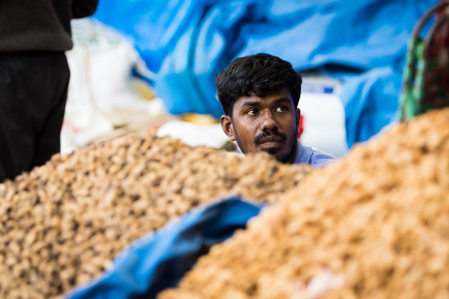 Bancarelle al festival delle arachidi Kadlekai Parishe a Basavanagudi, Bengaluru