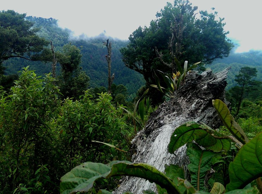 Vista panorámica desde la subida del cerro Mogotón hacia Jalapa
