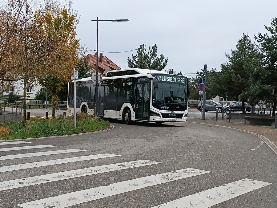 File:Bus CTS - ligne 53 Lipsheim Gare.jpg