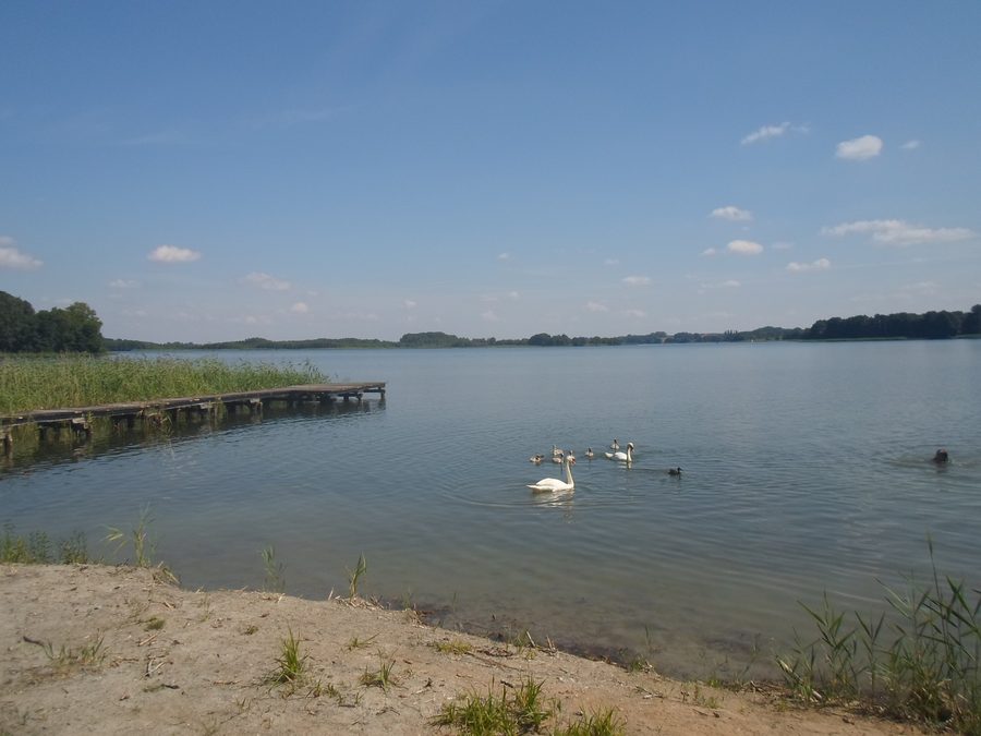 Riserva naturale Krakower Obersee nel Parco Naturale Nossentiner/Schwinzer Heide