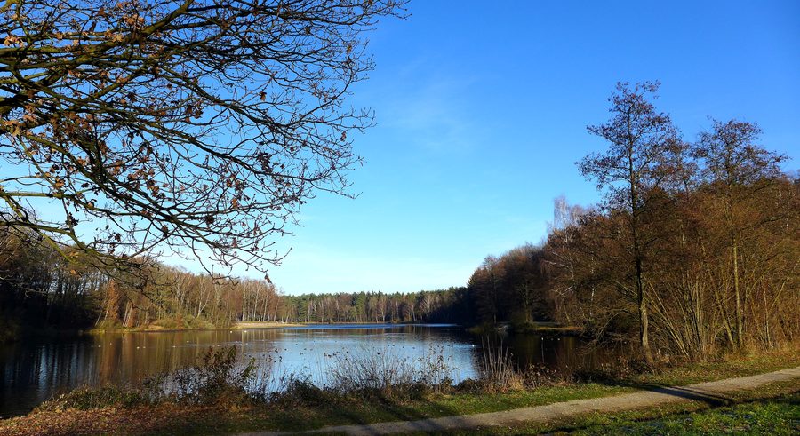 Blick auf den Hardausee zwischen Hösseringen und Suderburg