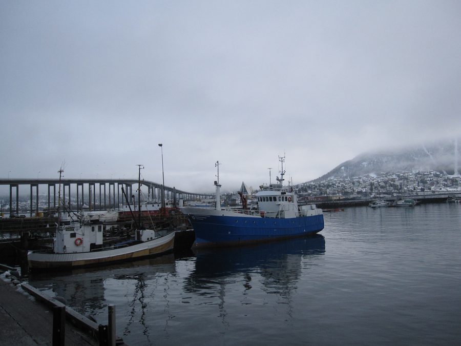 Porto di Tromsø con barche da pesca e la Tromsøbrua sullo sfondo