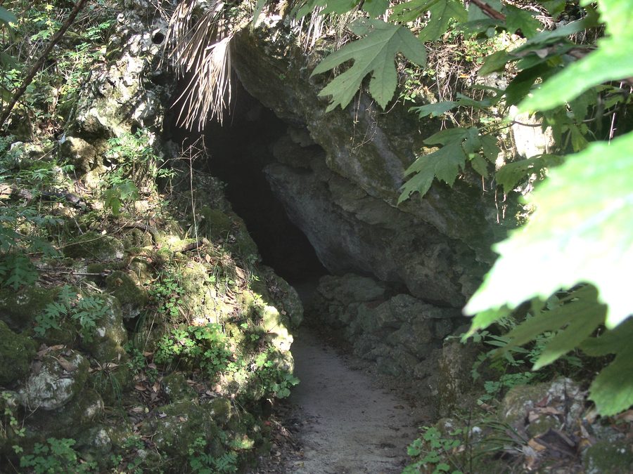 Uscita dalle grotte al Florida Caverns State Park a Marianna, Florida