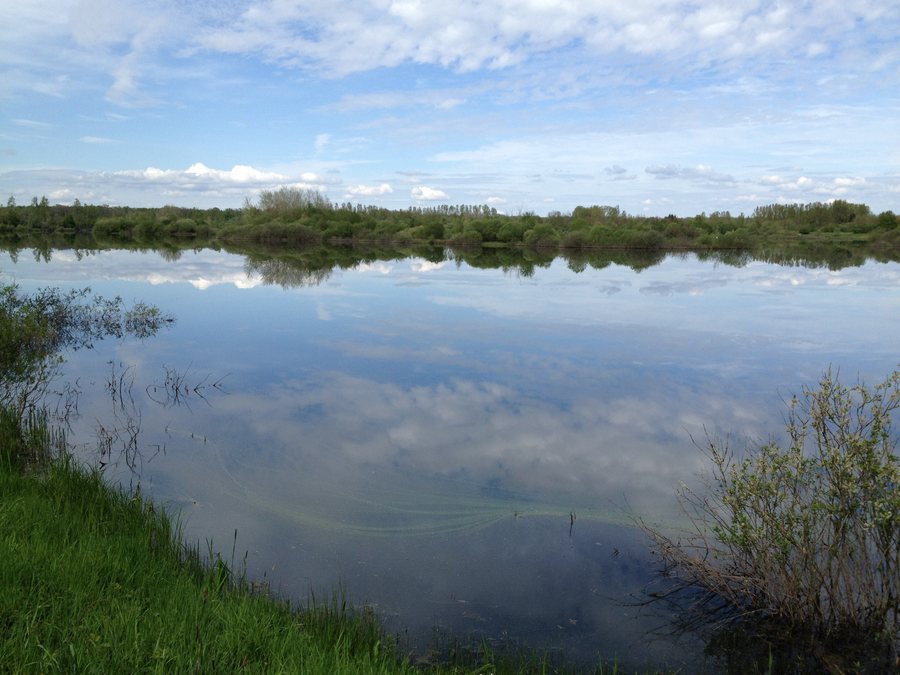 File:Etang de Breurey-lès-Faverney.JPG