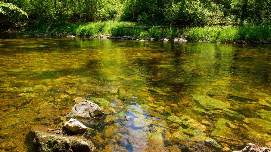 Ruhig fließende Wutach in der Wutachschlucht