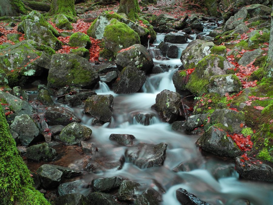 File:2012-11-23 16-05-52-grande-cascade-tendon.jpg